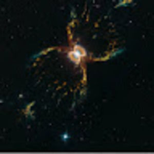 Meet your Posher, Natalia